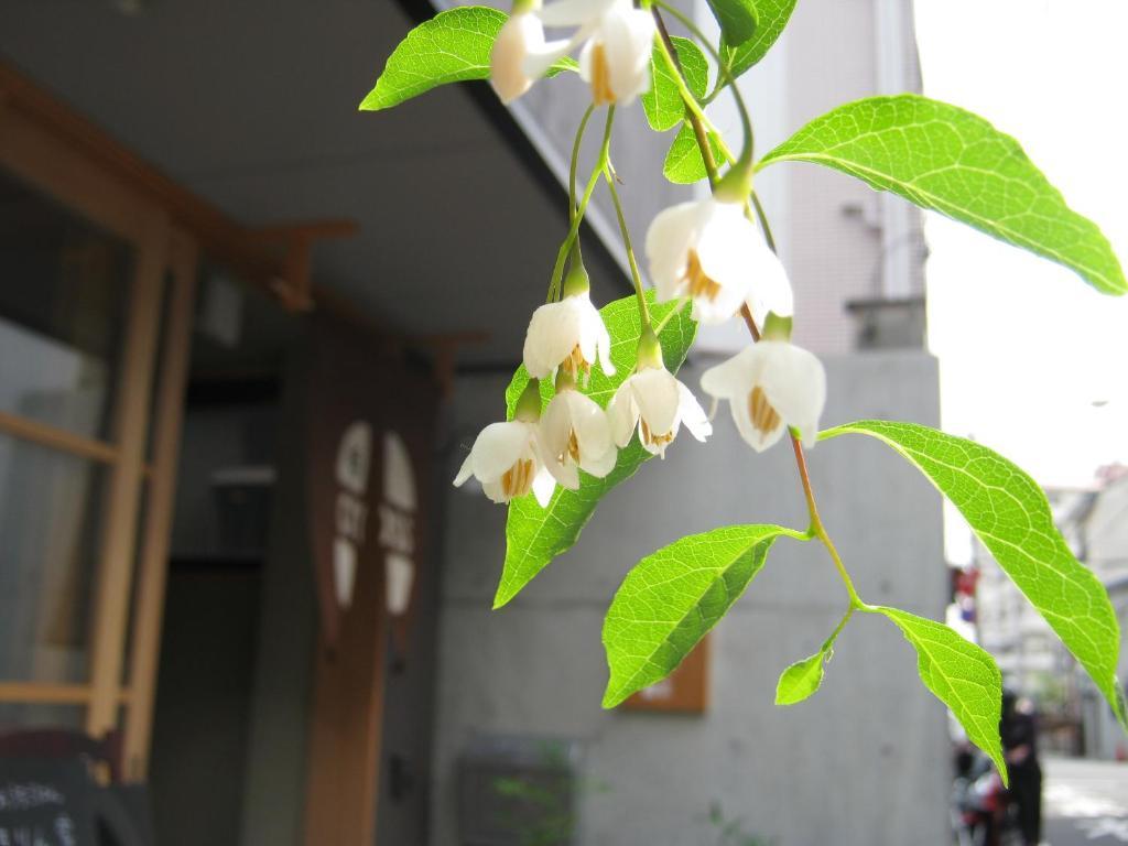 Guesthouse Hyakumanben Cross Kiotó Kültér fotó